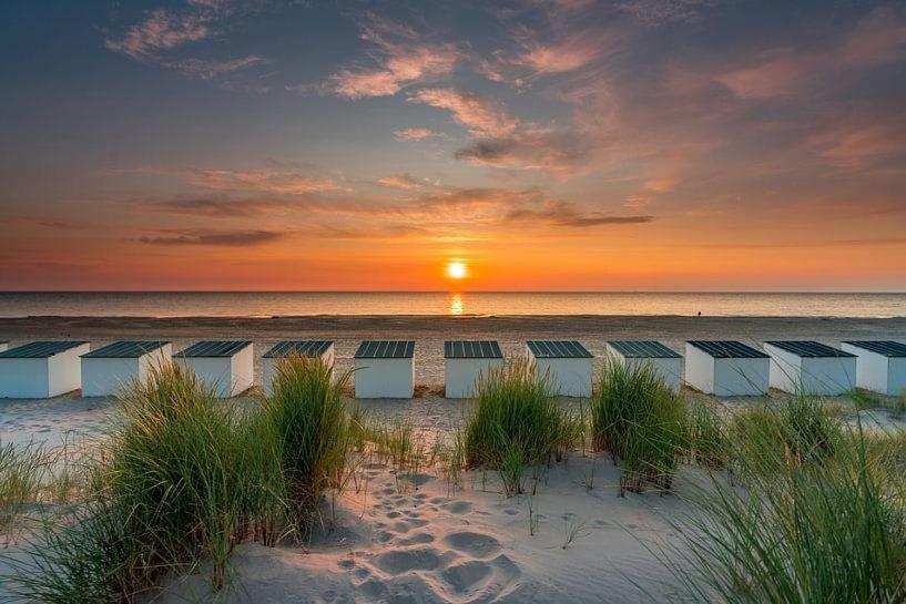 Beautifull House Beach Life 47 Де Коксдорп Екстериор снимка